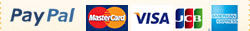 paypal master card/VISA/JCB/American Express